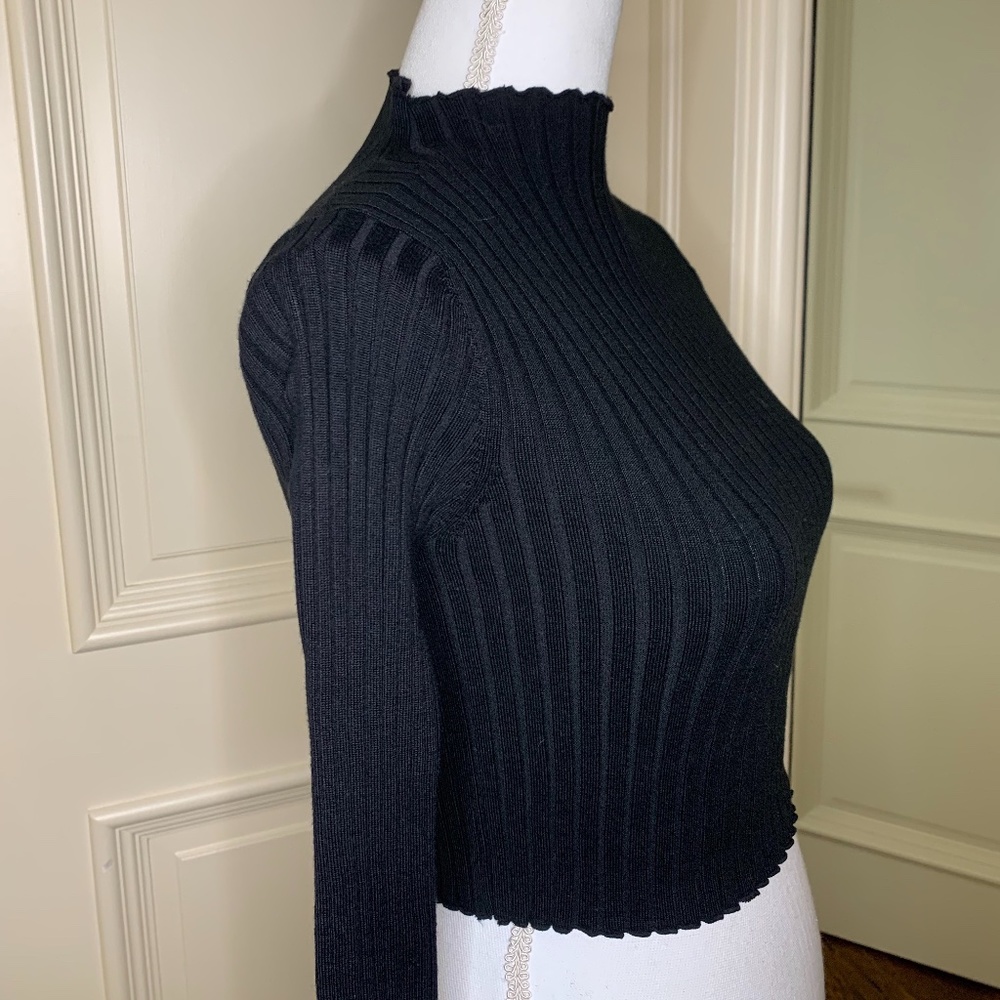 Black Ribbed Cropped Turtleneck (XS)